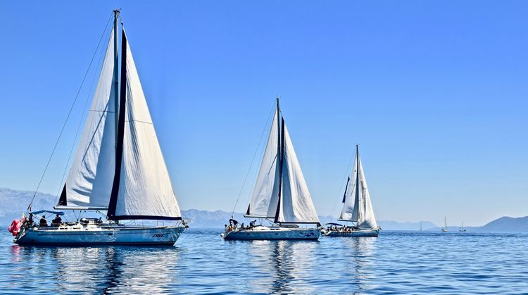 Spinnaker video selection